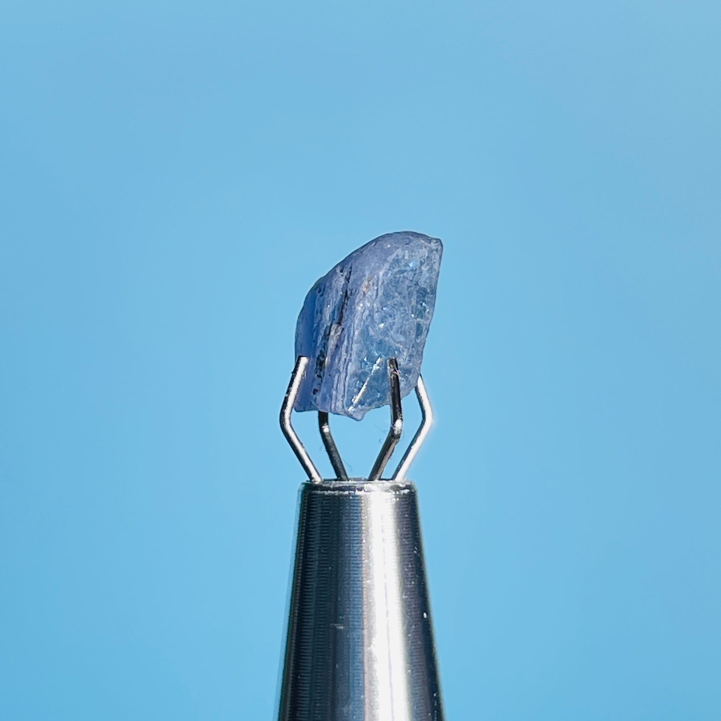 Tanzanite Mini Crystal in Specimen Pottle (Video)