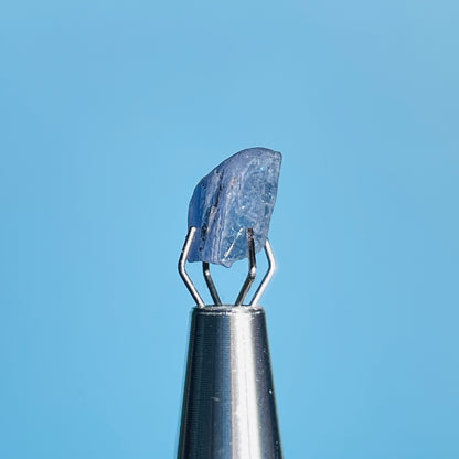 Tanzanite Mini Crystal in Specimen Pottle (Video)