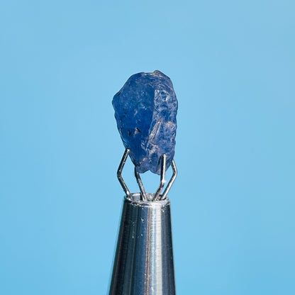 Tanzanite Mini Crystal in Specimen Pottle (Video)