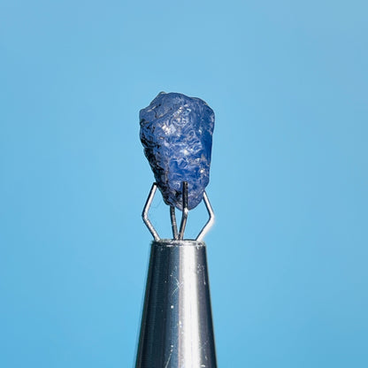 Tanzanite Mini Crystal in Specimen Pottle (Video)