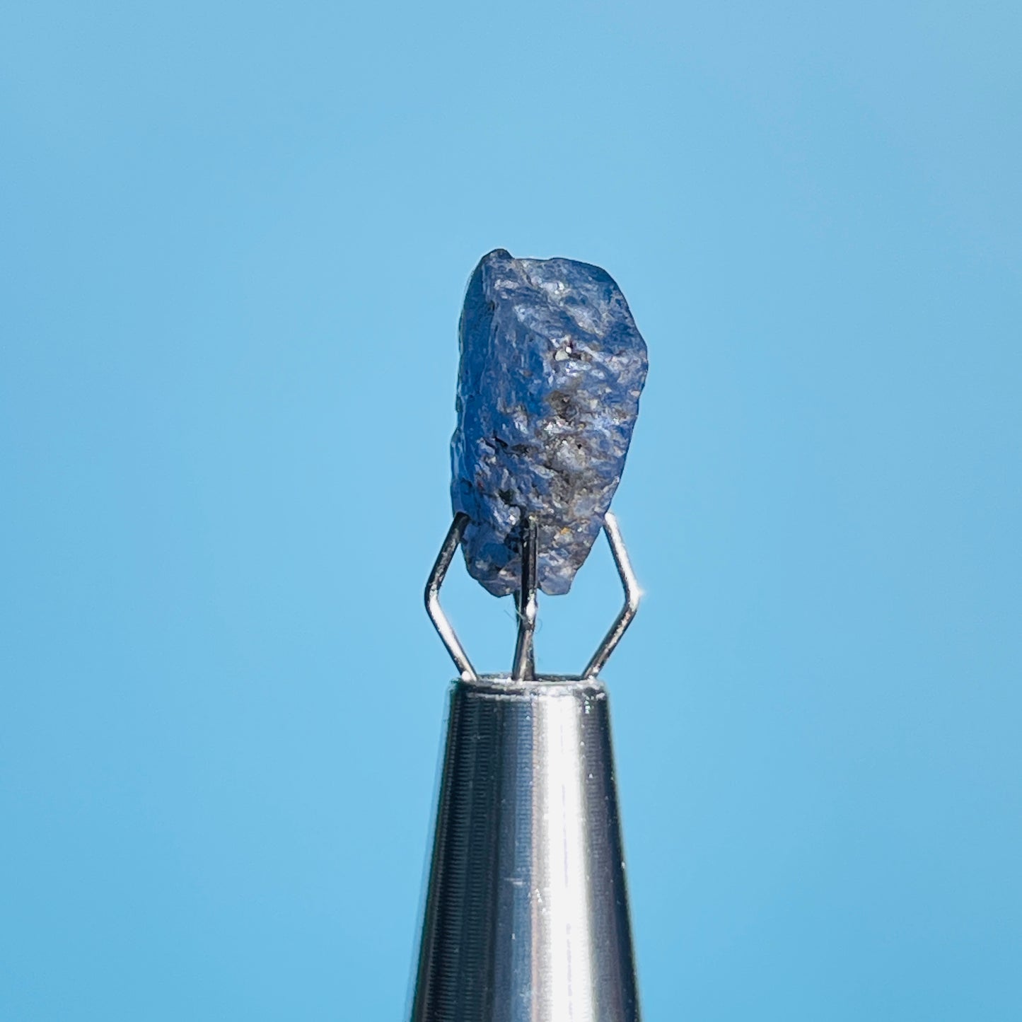 Tanzanite Mini Crystal in Specimen Pottle (Video)