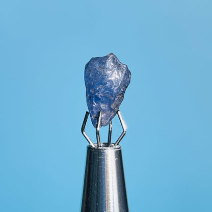 Tanzanite Mini Crystal in Specimen Pottle (Video)