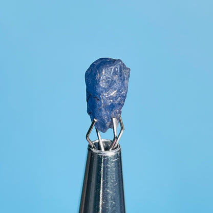 Tanzanite Mini Crystal in Specimen Pottle (Video)