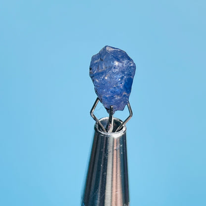 Tanzanite Mini Crystal in Specimen Pottle (Video)