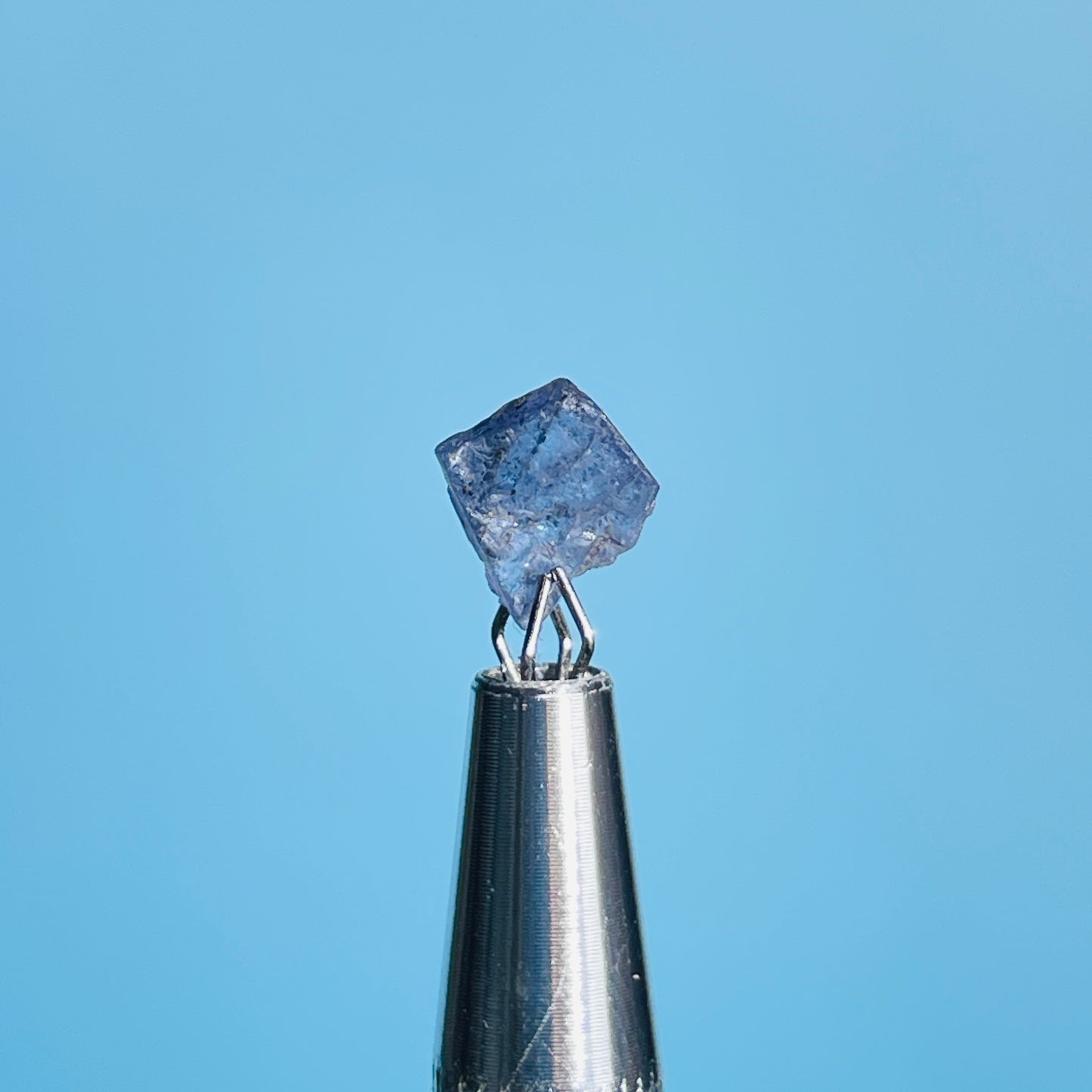 Tanzanite Mini Crystal in Specimen Pottle (Video)