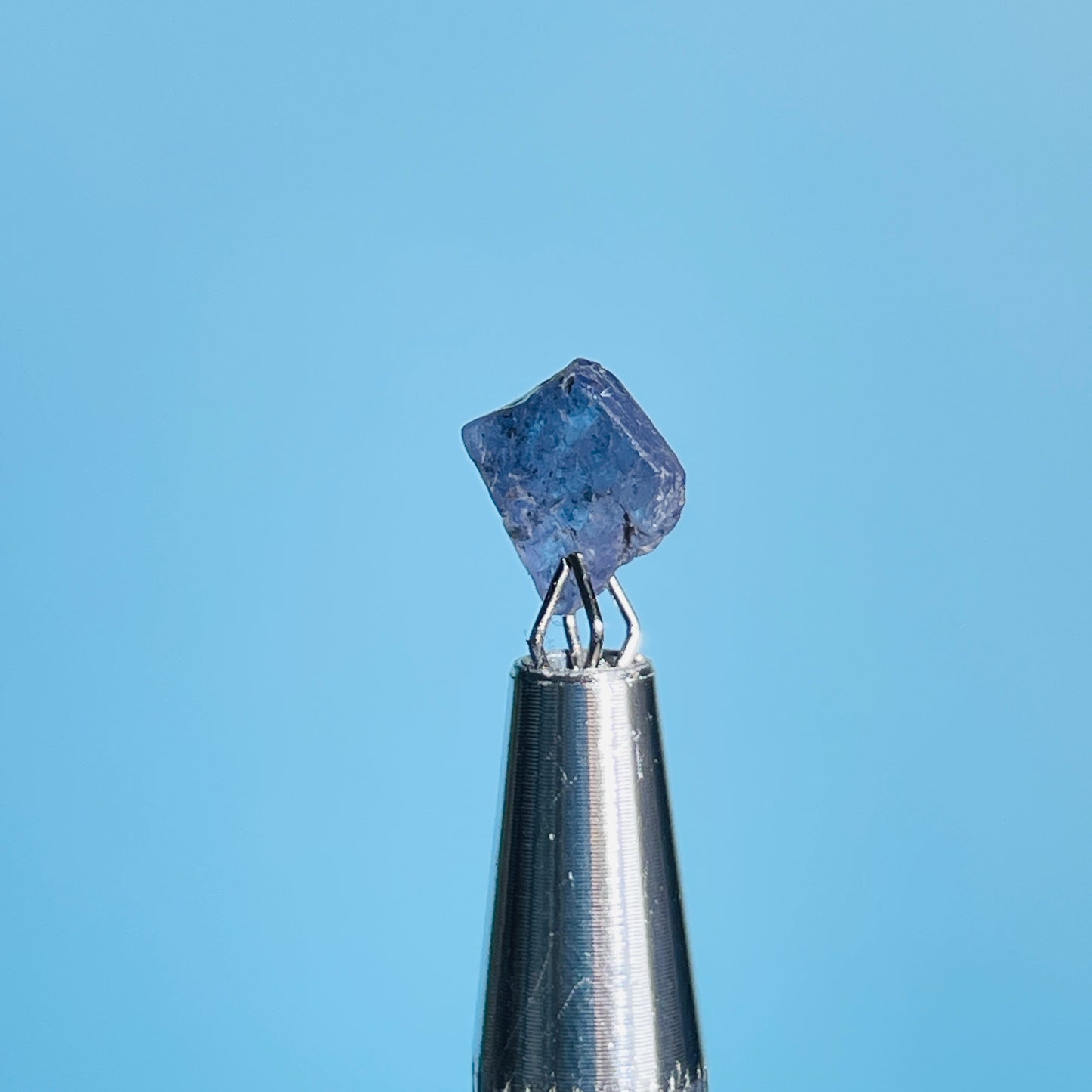 Tanzanite Mini Crystal in Specimen Pottle (Video)