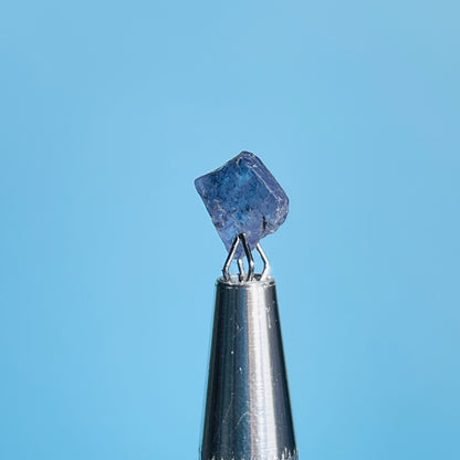 Tanzanite Mini Crystal in Specimen Pottle (Video)