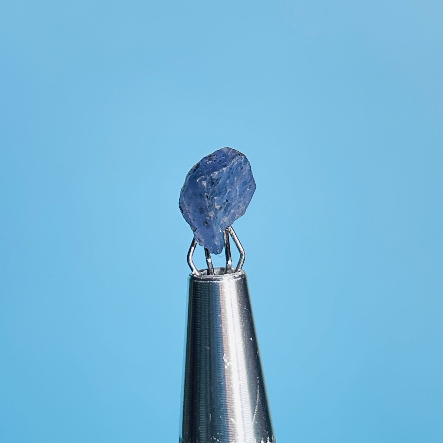 Tanzanite Mini Crystal in Specimen Pottle (Video)