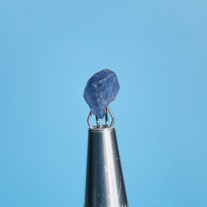 Tanzanite Mini Crystal in Specimen Pottle (Video)