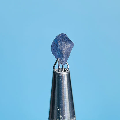 Tanzanite Mini Crystal in Specimen Pottle (Video)