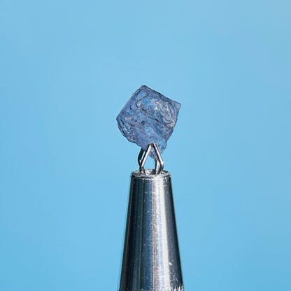 Tanzanite Mini Crystal in Specimen Pottle (Video)