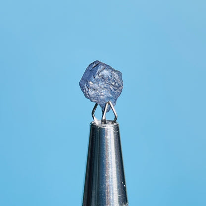 Tanzanite Mini Crystal in Specimen Pottle (Video)