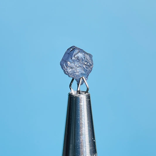 Tanzanite Mini Crystal in Specimen Pottle (Video)