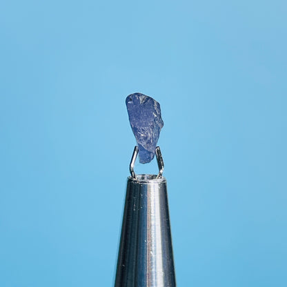 Tanzanite Mini Crystal in Specimen Pottle (Video)