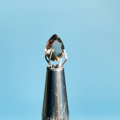 Smoky Quartz Faceted Oval-Cut Gemstone in Specimen Box