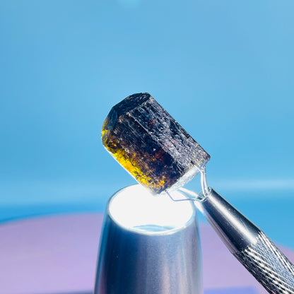 Dravite Tourmaline Raw Crystal Specimen