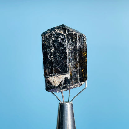 Dravite Tourmaline Raw Crystal Specimen