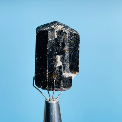 Dravite Tourmaline Raw Crystal Specimen