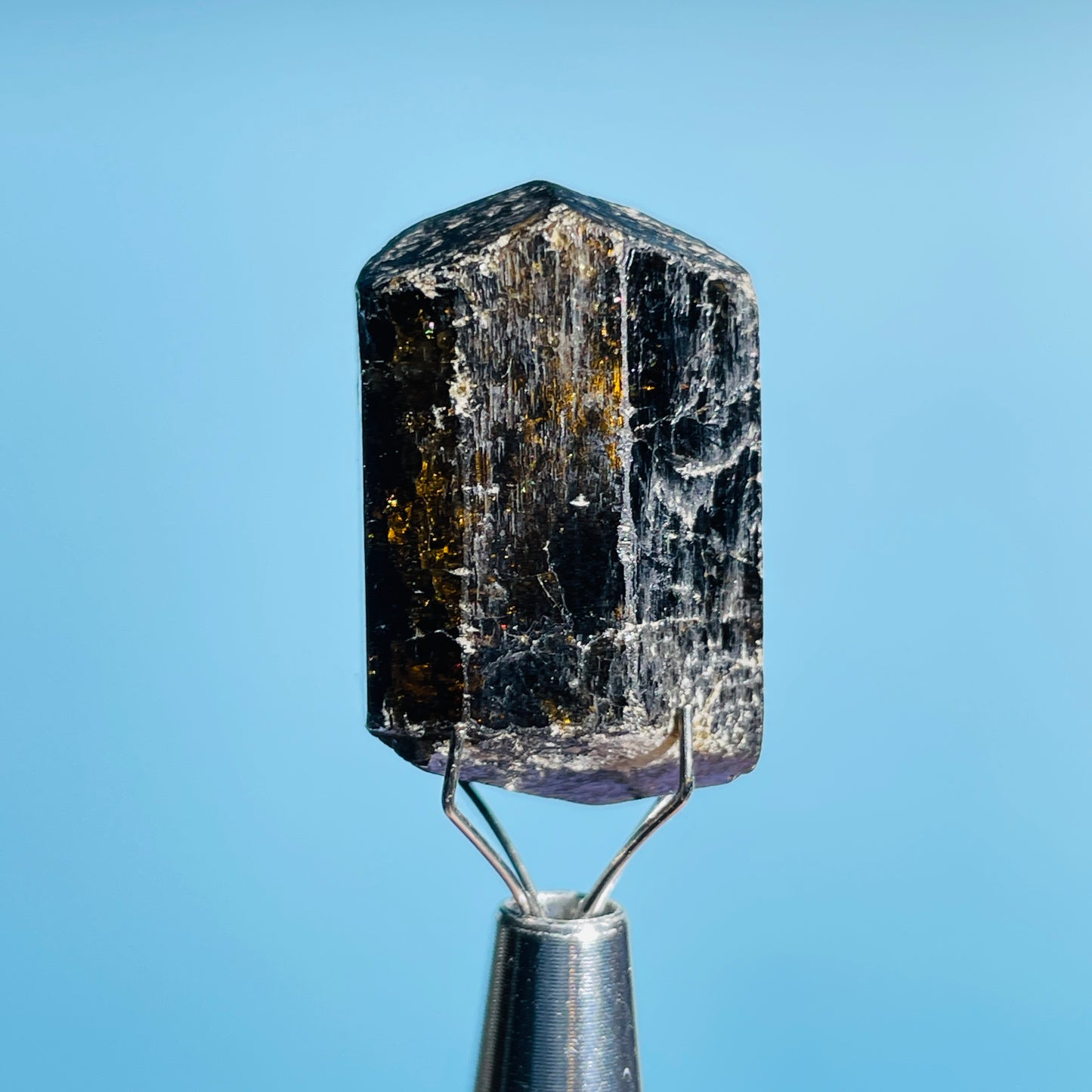 Dravite Tourmaline Raw Crystal Specimen