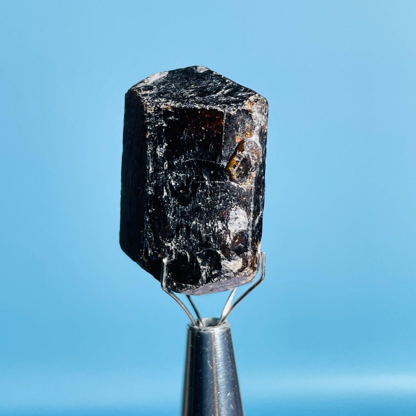 Dravite Tourmaline Raw Crystal Specimen