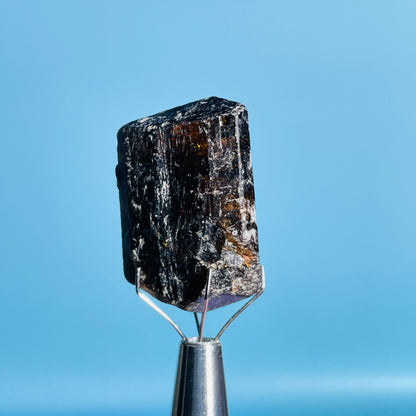 Dravite Tourmaline Raw Crystal Specimen