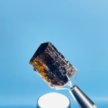 Dravite Tourmaline Raw Crystal Specimen