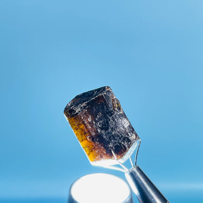 Dravite Tourmaline Raw Crystal Specimen