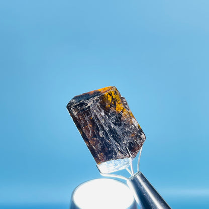 Dravite Tourmaline Raw Crystal Specimen