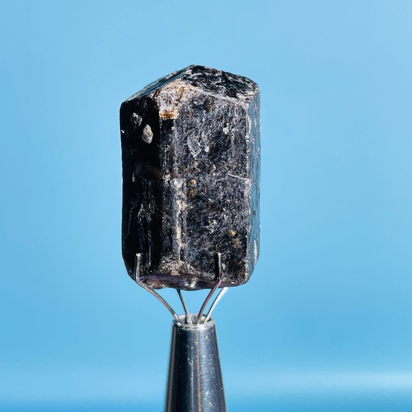 Dravite Tourmaline Raw Crystal Specimen