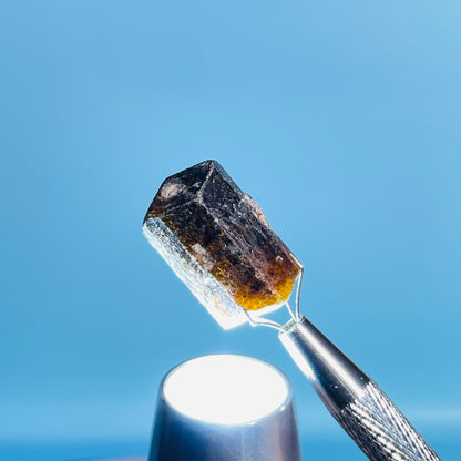 Dravite Tourmaline Raw Crystal Specimen