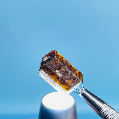 Dravite Tourmaline Raw Crystal Specimen