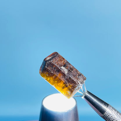 Dravite Tourmaline Raw Crystal Specimen