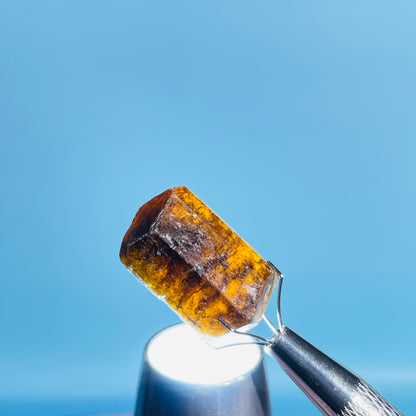 Dravite Tourmaline Raw Crystal Specimen