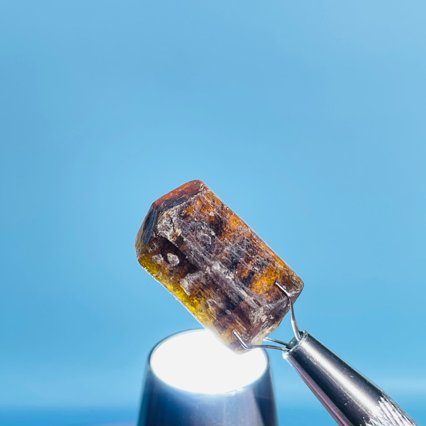 Dravite Tourmaline Raw Crystal Specimen