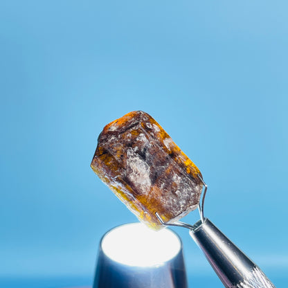 Dravite Tourmaline Raw Crystal Specimen