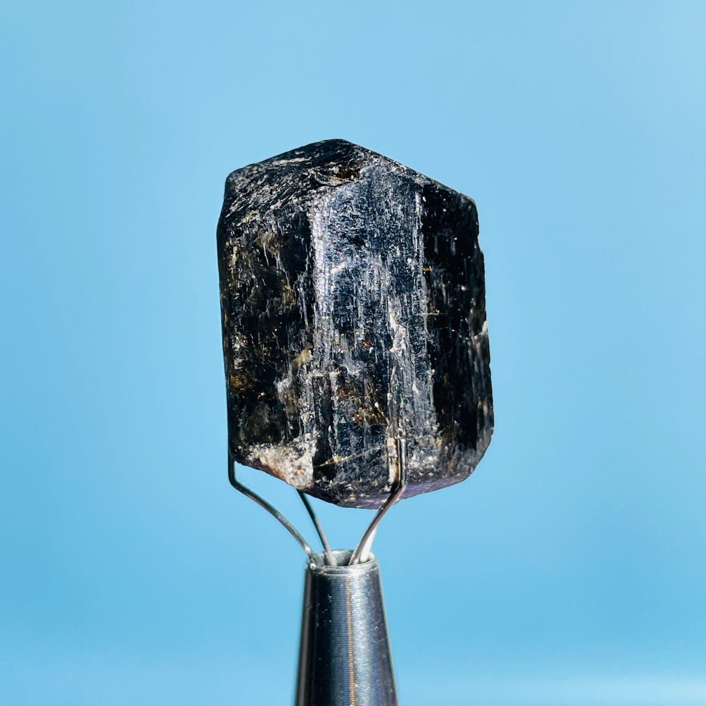 Dravite Tourmaline Raw Crystal Specimen