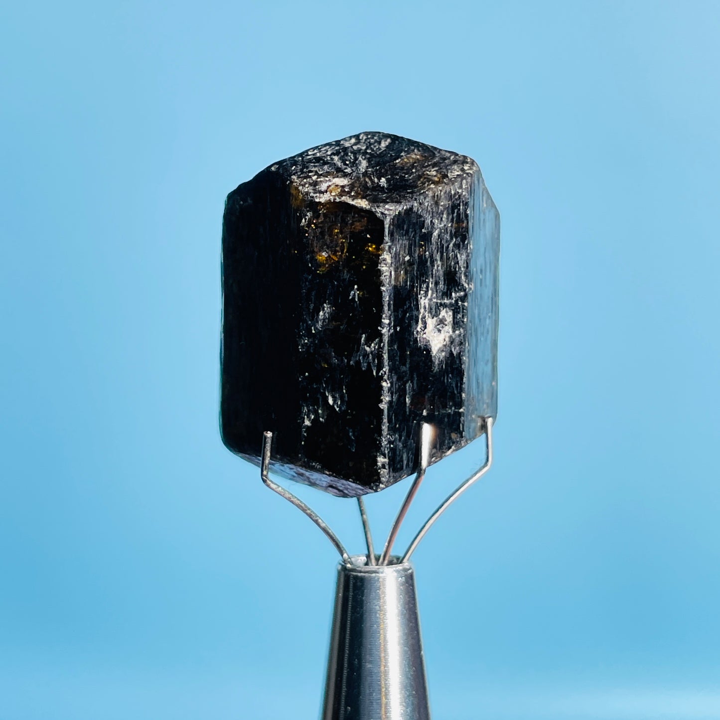 Dravite Tourmaline Raw Crystal Specimen