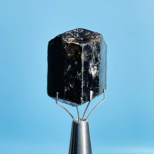 Dravite Tourmaline Raw Crystal Specimen