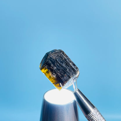 Dravite Tourmaline Raw Crystal Specimen