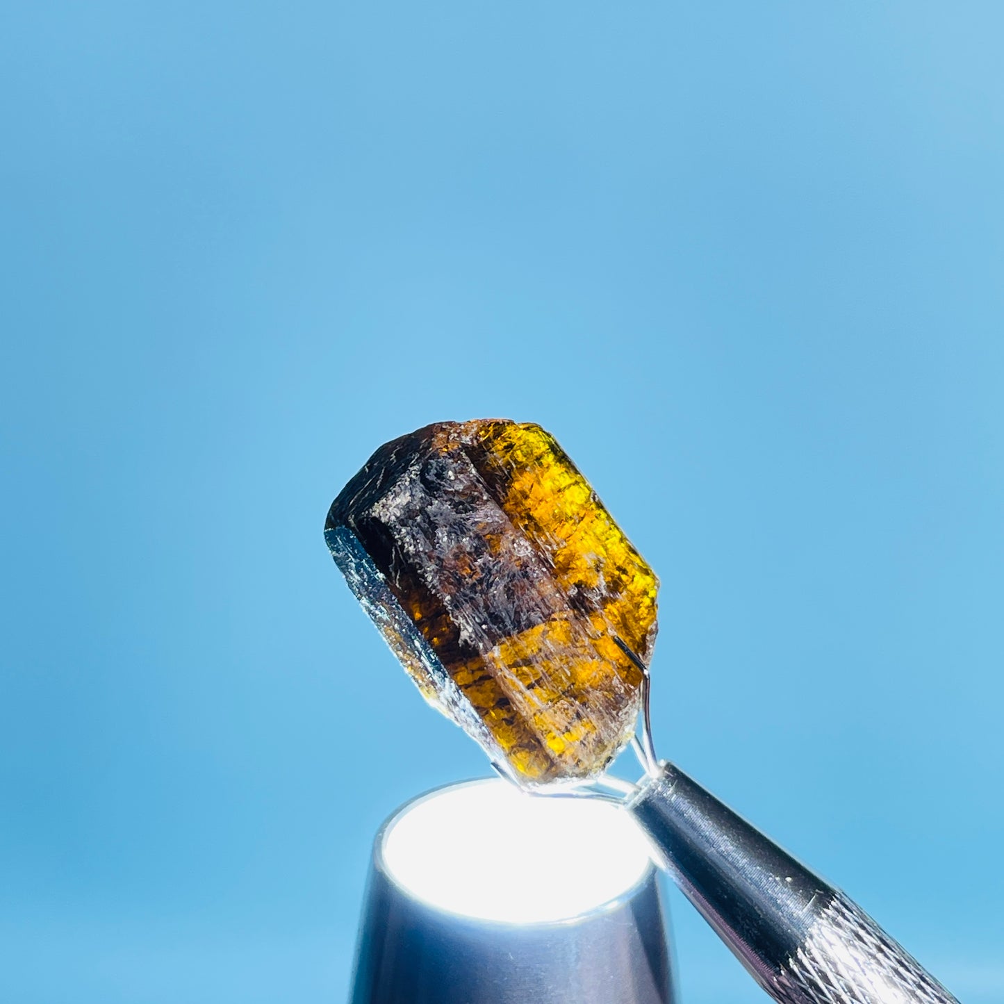 Dravite Tourmaline Raw Crystal Specimen