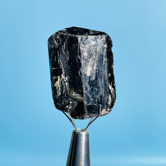 Dravite Tourmaline Raw Crystal Specimen