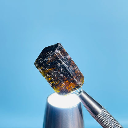 Dravite Tourmaline Raw Crystal Specimen