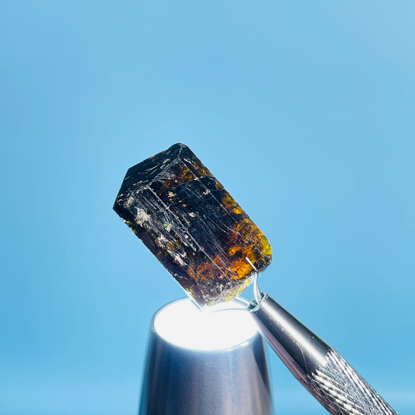 Dravite Tourmaline Raw Crystal Specimen