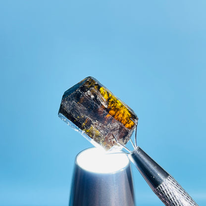 Dravite Tourmaline Raw Crystal Specimen