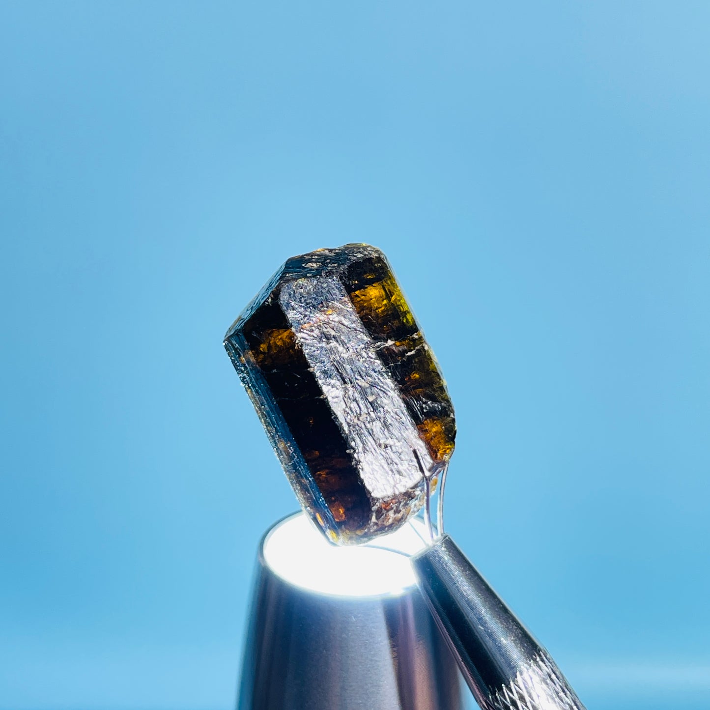 Dravite Tourmaline Raw Crystal Specimen