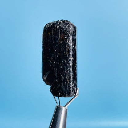 Dravite Tourmaline Raw Crystal Specimen