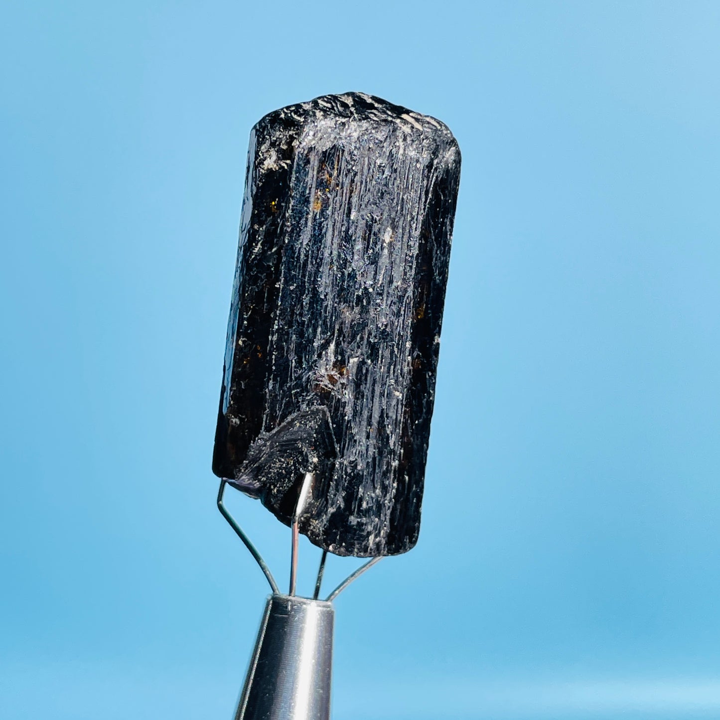 Dravite Tourmaline Raw Crystal Specimen