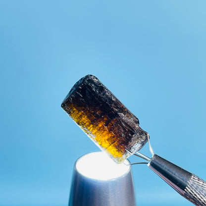 Dravite Tourmaline Raw Crystal Specimen