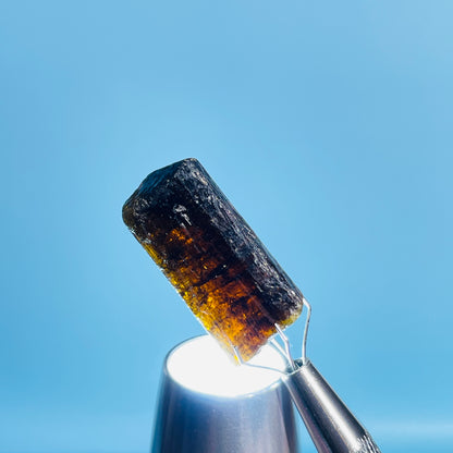 Dravite Tourmaline Raw Crystal Specimen