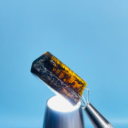 Dravite Tourmaline Raw Crystal Specimen